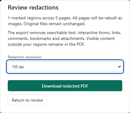 Review the regions and image-only conversion before exporting.